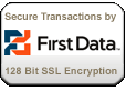 FIRST DATA PAYMENT PROCESSING SECURED PAYMENT USING 128 BIT ENCRYPTION 