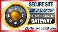 FIRST DATA PAYMENT PROCESSING SECURED PAYMENT USING 128 BIT ENCRYPTION 